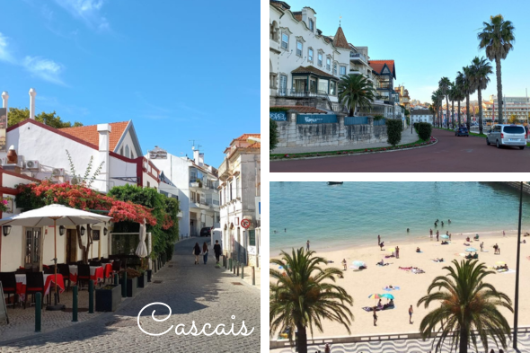 portogallo local o quasi 