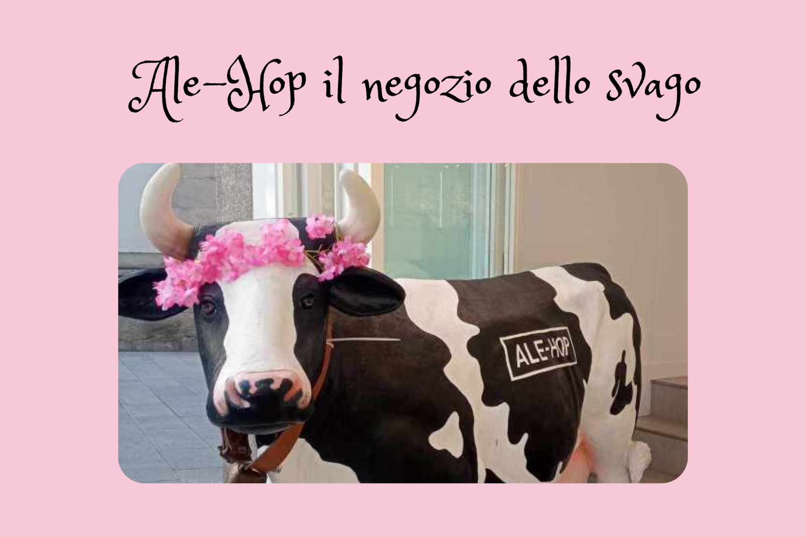 5 negozi in Spagna: Ale Hop