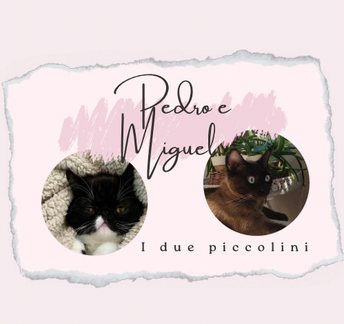 La famiglia si allarga