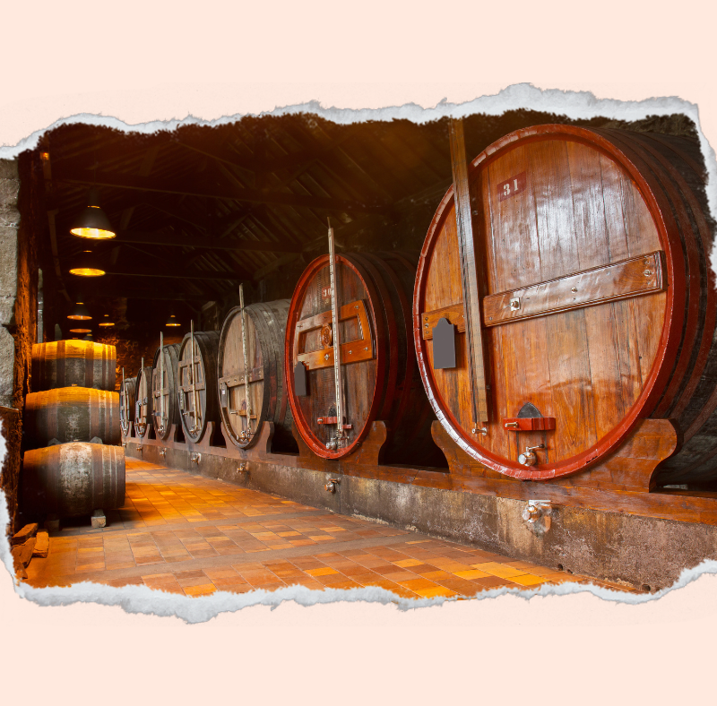 Porto: vi porto nelle cantine🍷di Porto